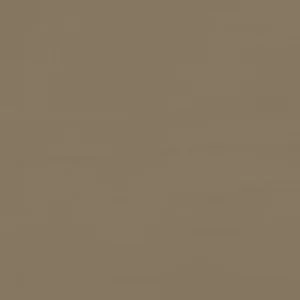 999 RUSTIC TAUPE ARBORCOAT SOLID EXTERIOR COLOR